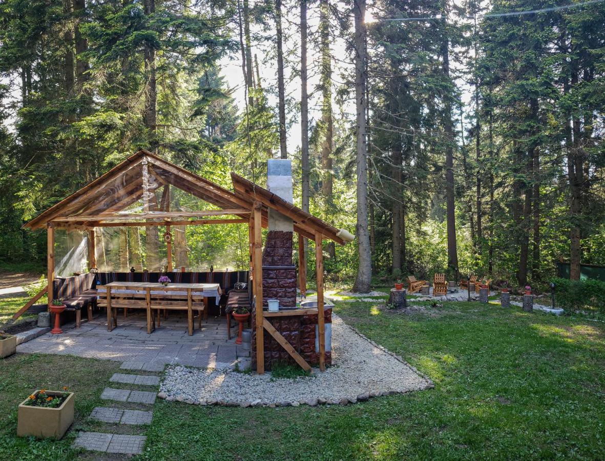 Guest Rooms- Klepalski House Μπόροβετς Εξωτερικό φωτογραφία