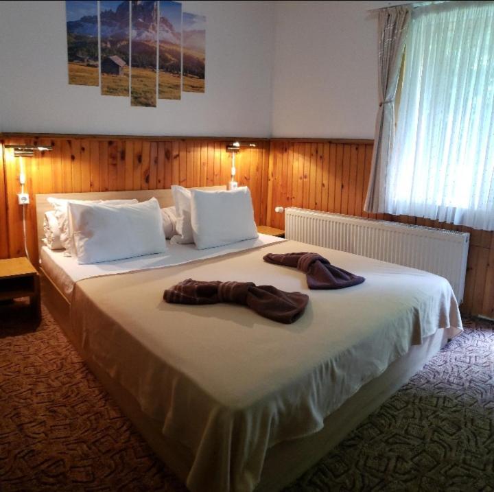Guest Rooms- Klepalski House Μπόροβετς Εξωτερικό φωτογραφία